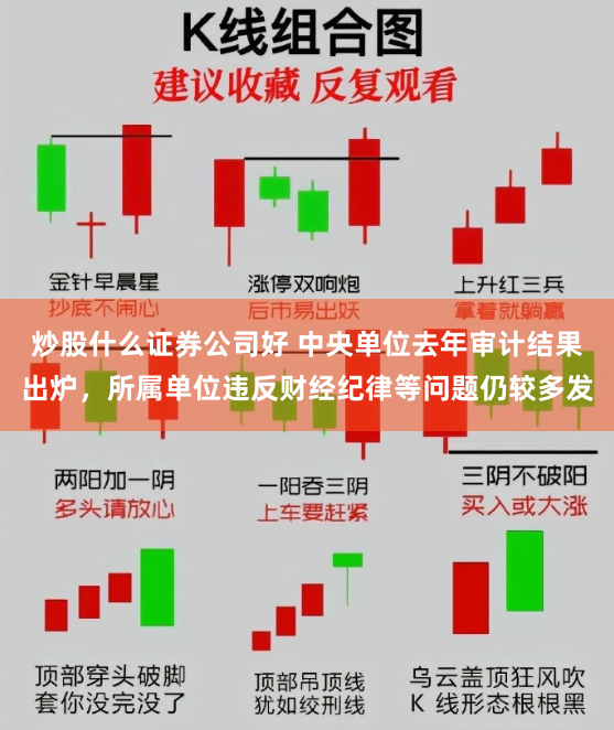 炒股什么证券公司好 中央单位去年审计结果出炉，所属单位违反财经纪律等问题仍较多发